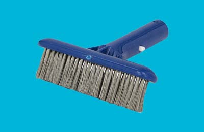 Algae Brush